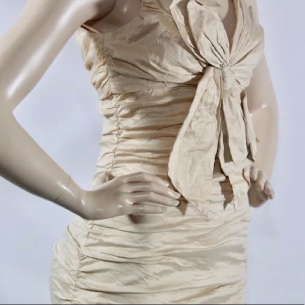 BCBGMaxazria dress, champagne color